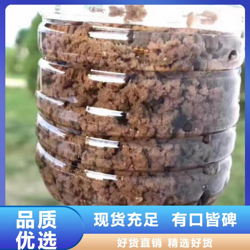 聚丙烯酰胺活性炭厂家大量现货当地货源