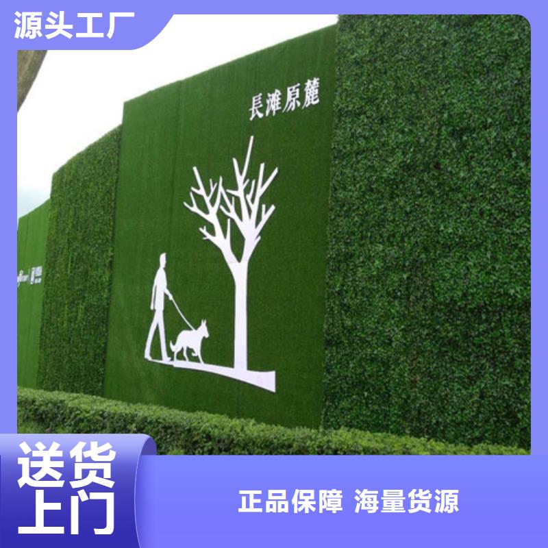 围挡草坪【草坪围挡】品质优选工厂价格