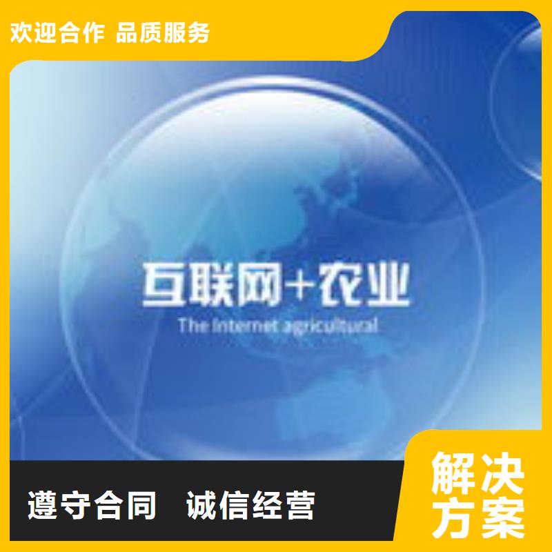 马云网络网络公司售后保障先进的技术