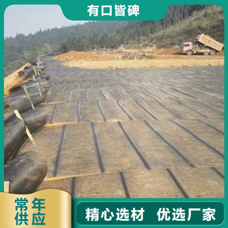 单向塑料土工格栅复合土工膜严格把关质量放心质优价廉