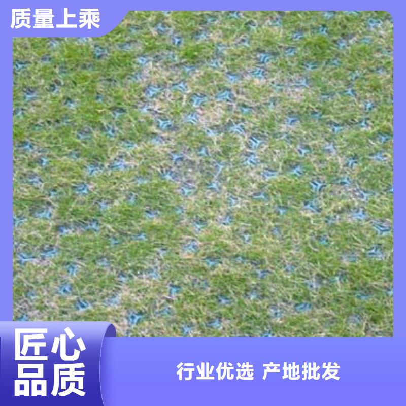 植草格【三维土工网垫】专业生产品质保证{本地}制造商