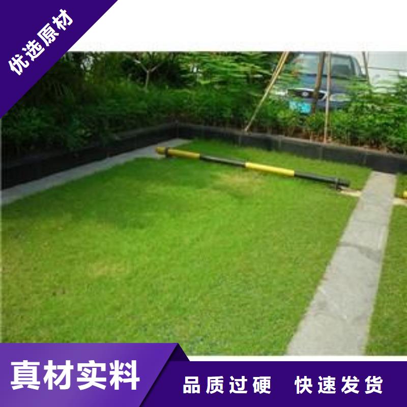 【植草格】聚乙烯土工膜联系厂家用心做产品