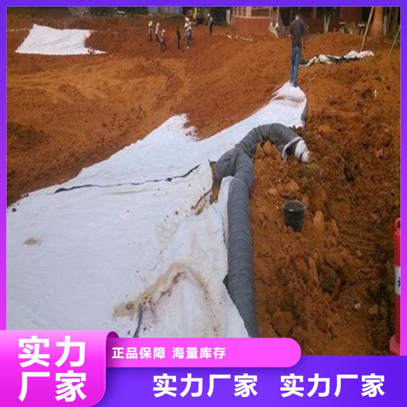 【膨润土防水毯防渗膜优质工艺】当地生产商