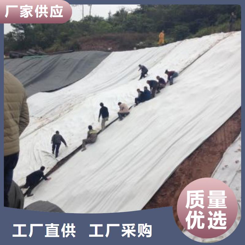 膨润土防水毯【三维土工网垫】正品保障一站式采购商