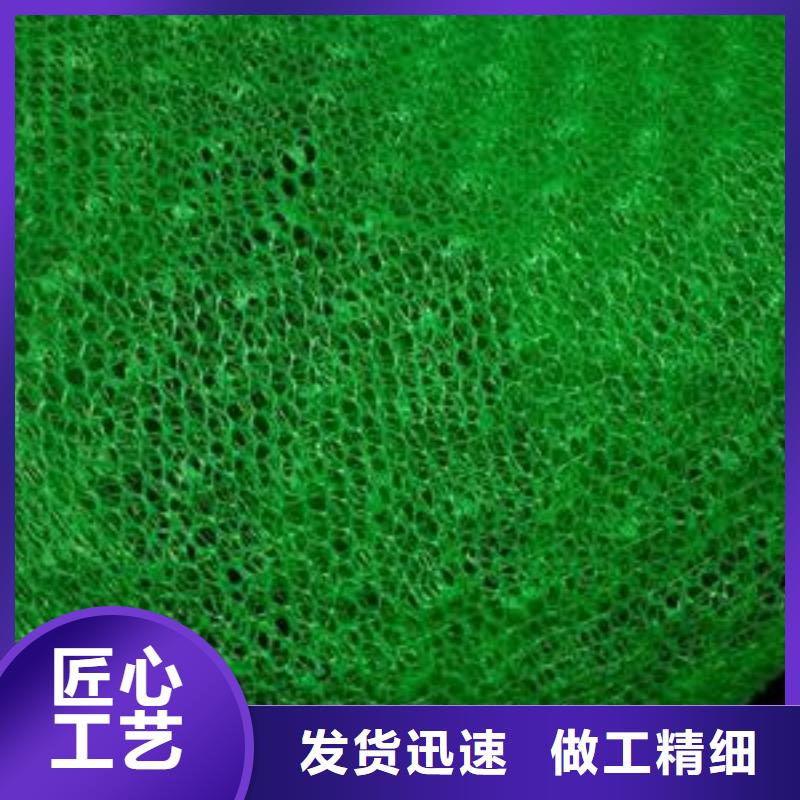 2025绿化三维植被网多规格可定制附近服务商