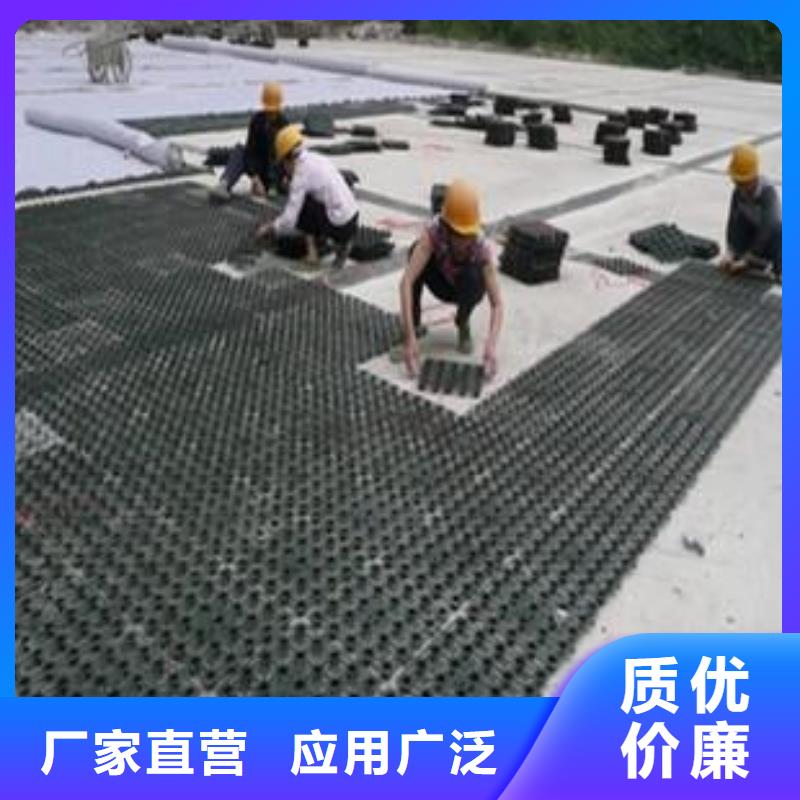 塑料排水板塑料土工格栅海量现货直销{本地}生产商