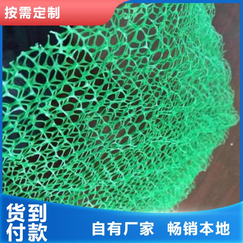 昌江县三维植被网厂家植被网看厂家产品实拍