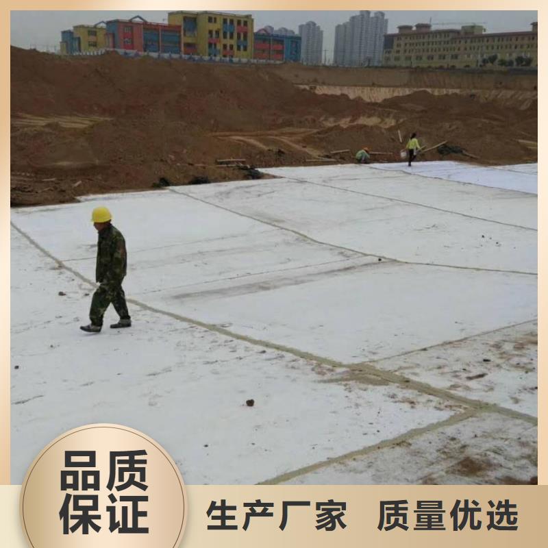 防水毯单向塑料土工格栅专注生产N年本地供应商