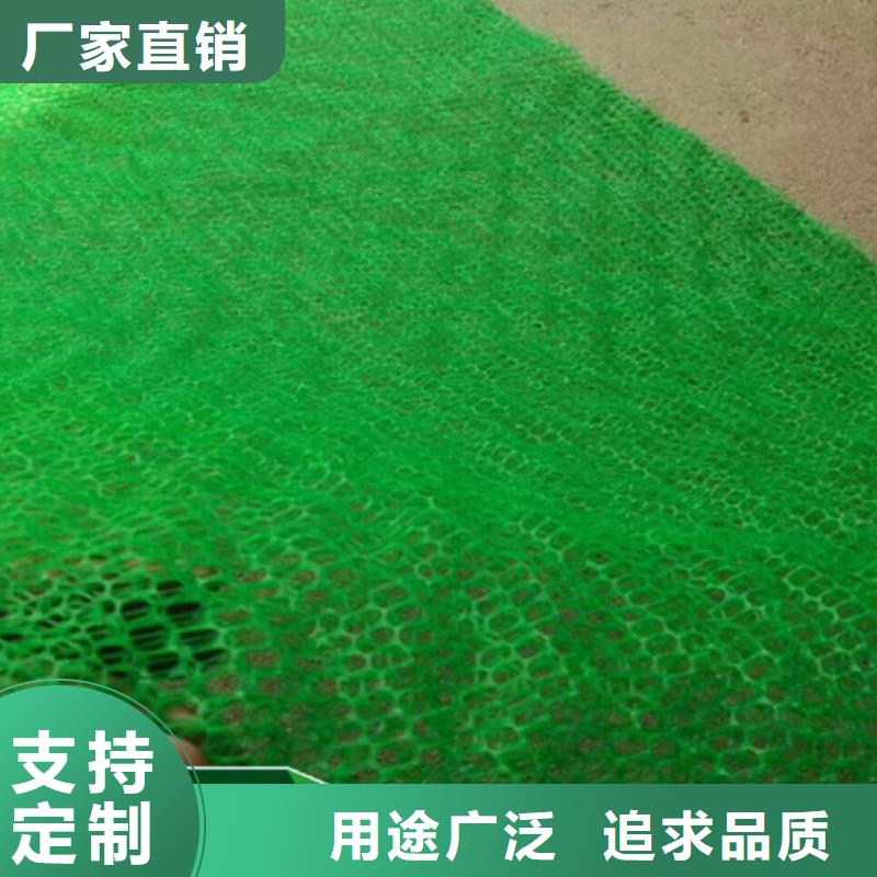 三维植被网长丝无纺土工布一致好评产品准时交付