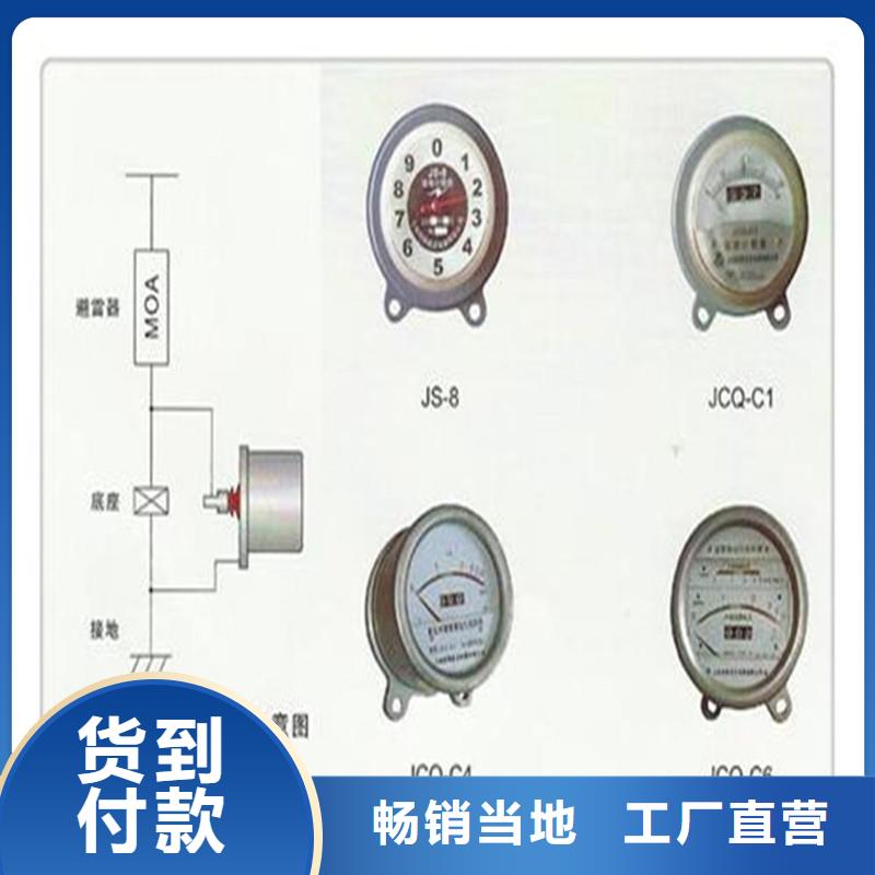 计数器氧化锌避雷器常年出售同城供应商