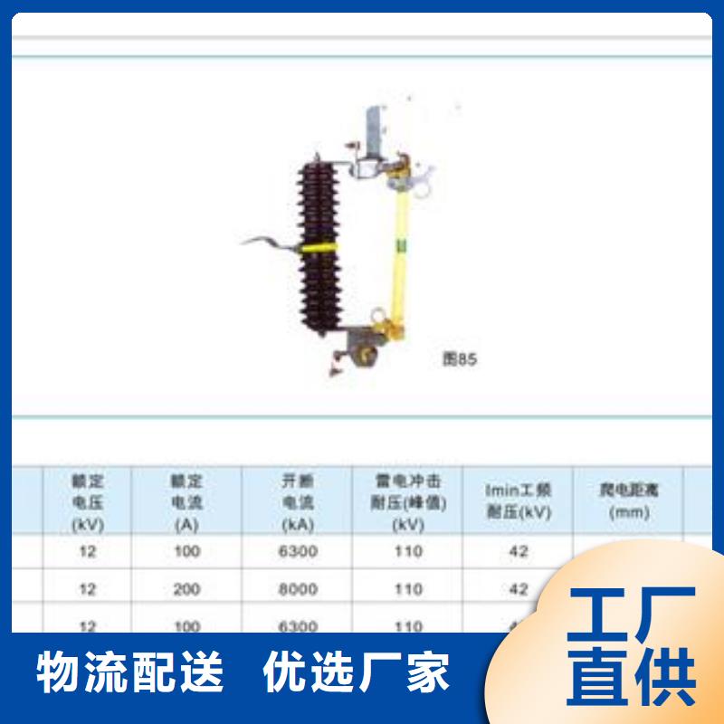 PD4-10/100A高压熔断器厂家支持定制