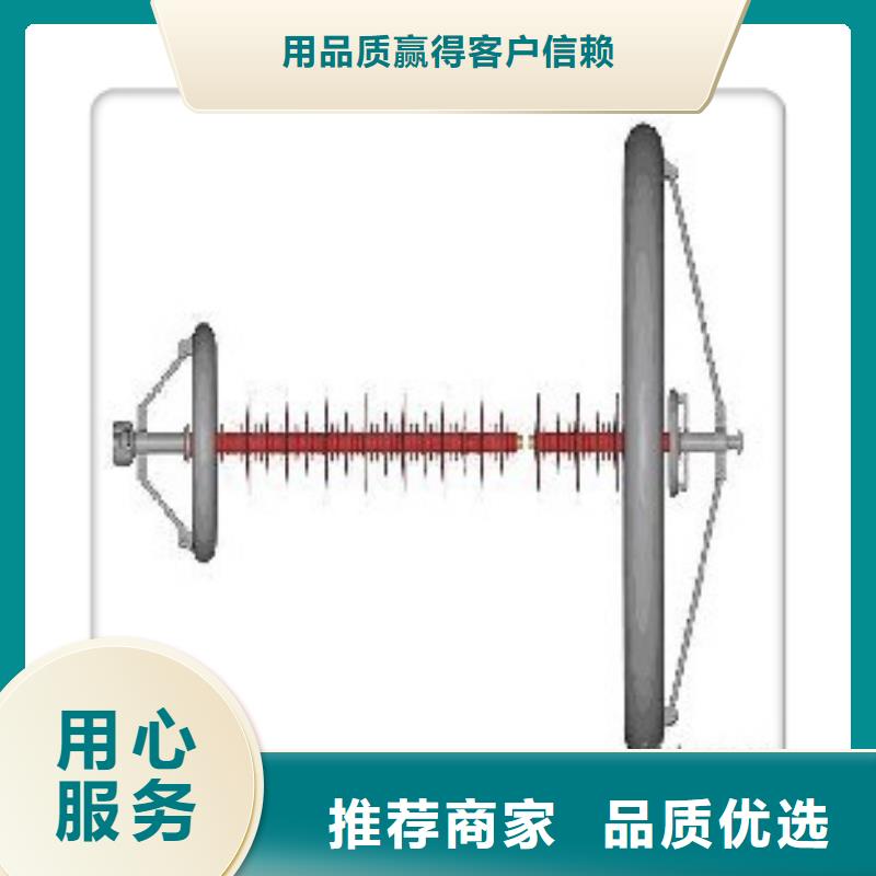 ZN-24Q110*190绝缘子符合行业标准