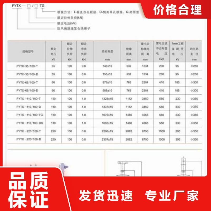 ZN-35KV/120*380环氧树脂绝缘子附近制造商