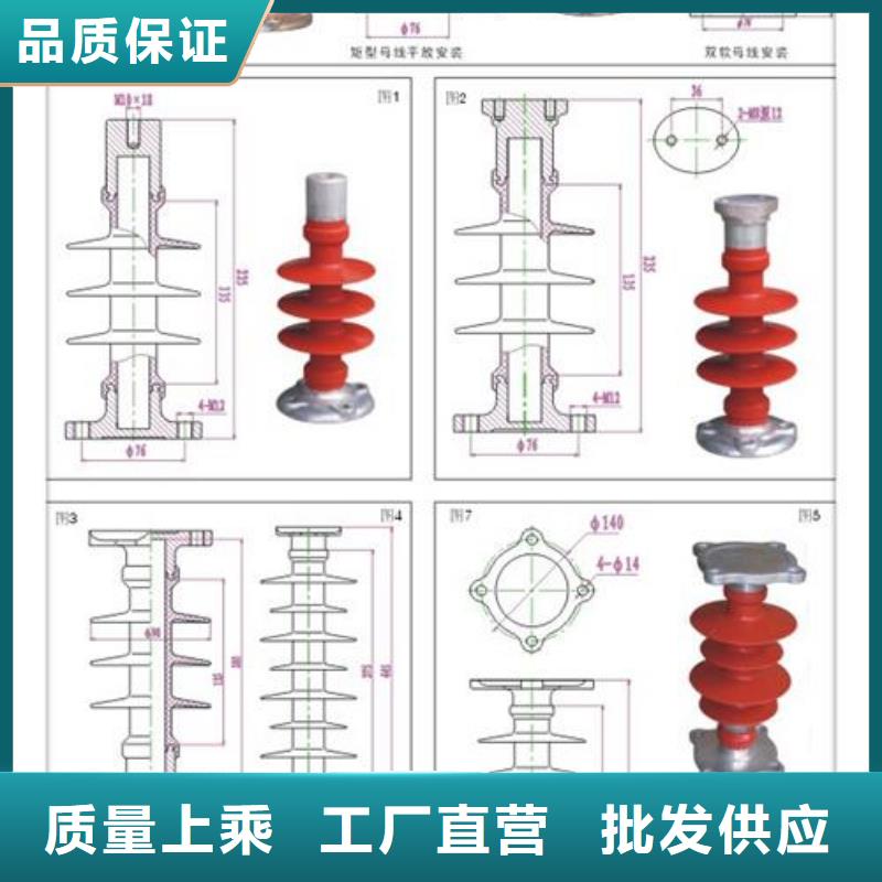 ZJ-10KV/65*140环氧树脂绝缘子价格实在