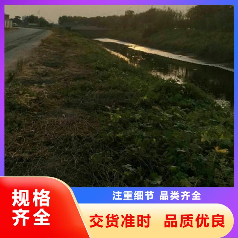 改性固化战备公路固化土报价[当地]制造商