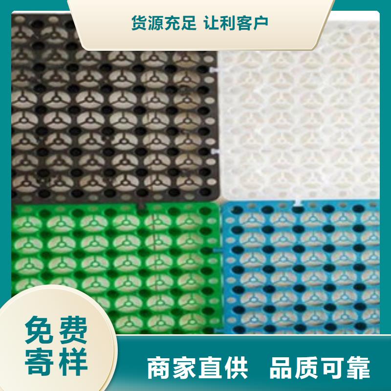 【塑料排水板产品细节参数】品质保证实力见证