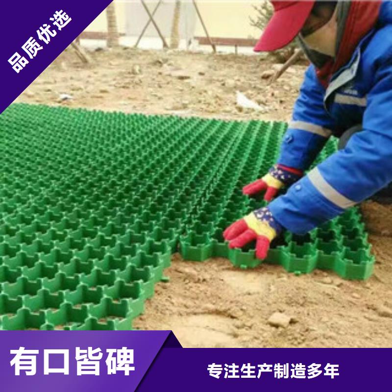 【环保植草格】土工膜厂家来电咨询当地经销商