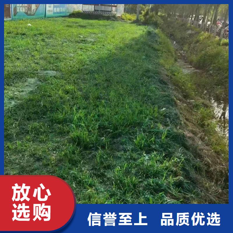 鐵路抑塵劑廠家貨源優(yōu)選原材