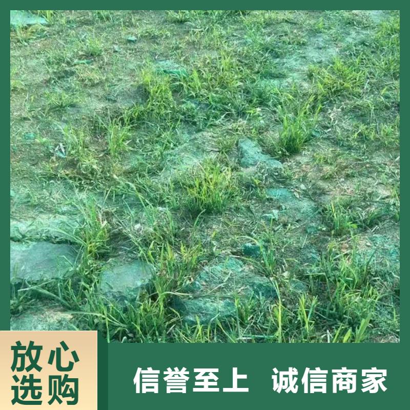 鐵路煤炭運輸抑塵劑現(xiàn)貨直供用心經(jīng)營