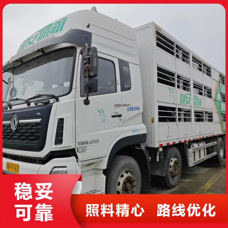 宿遷市到淮安豬牛羊運輸調(diào)度精準