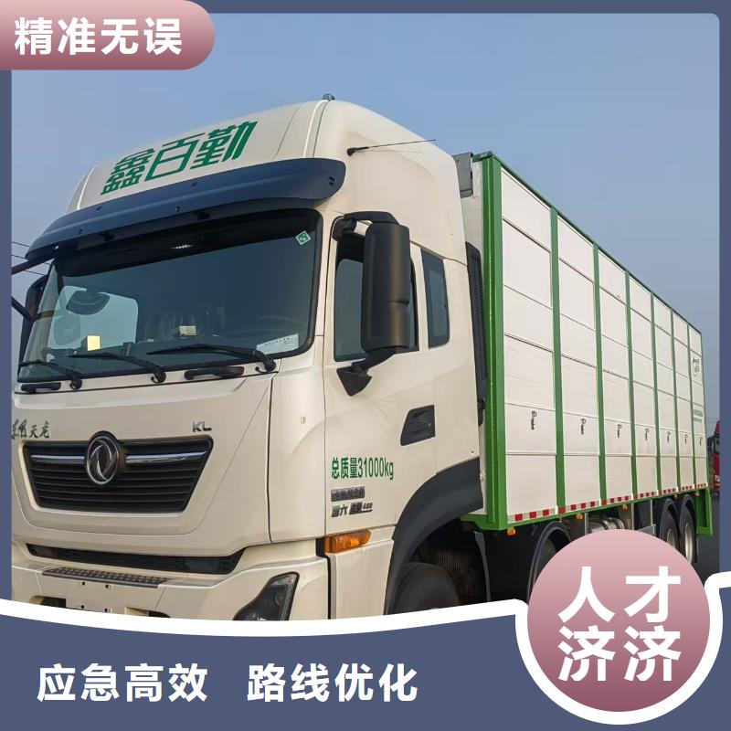 泗陽縣到邢臺種豬運輸品質(zhì)卓越