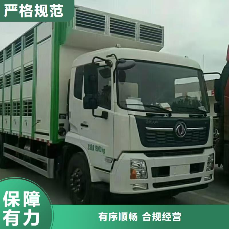 金華到濮陽二育運輸舒適自在