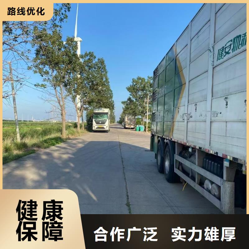 江蘇到廣安種豬空調(diào)車運(yùn)輸行業(yè)領(lǐng)先