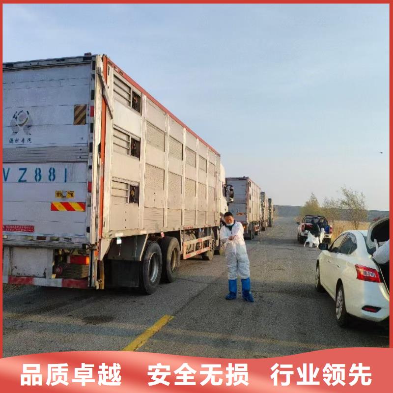 臺州到周口活禽運輸防護(hù)周全