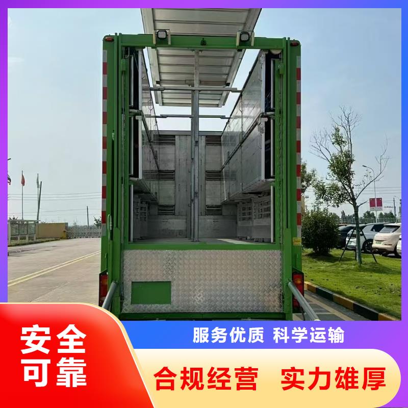 宿遷市泗洪到濮陽恒溫車運輸天天發(fā)車