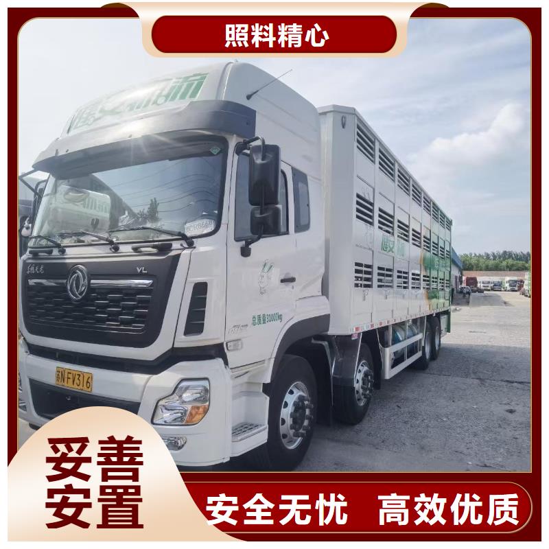 宿遷市沭陽到嘉興高欄車肥豬運(yùn)輸貼心服務(wù)