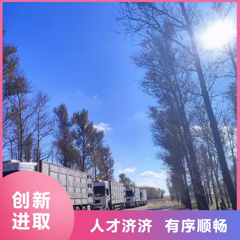 宿遷到平頂山豬只貿(mào)易服務(wù)零距離