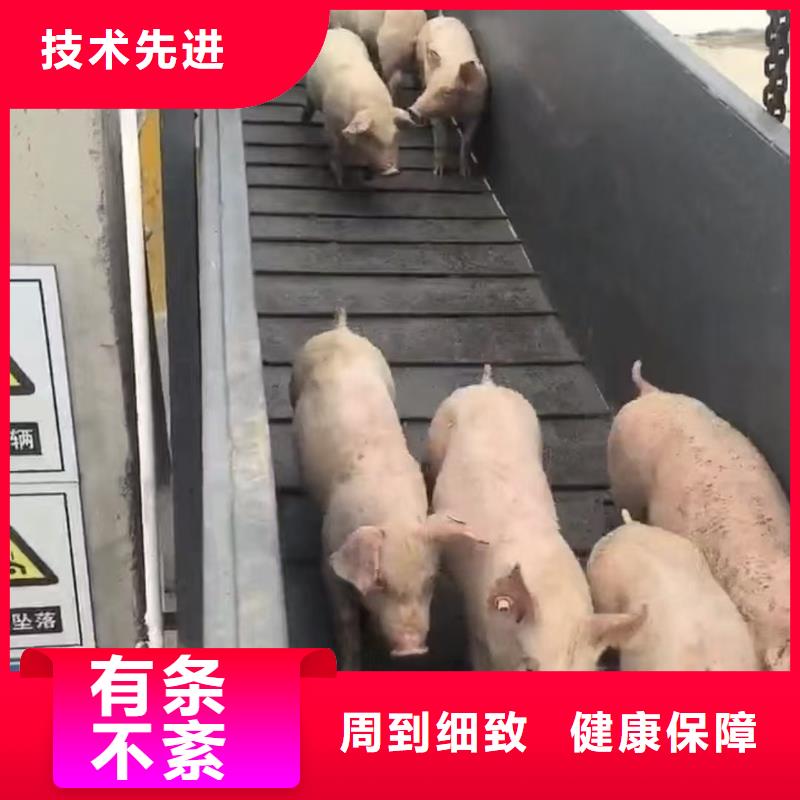 宿遷市泗陽到連云港空調(diào)車運(yùn)輸服務(wù)優(yōu)質(zhì)