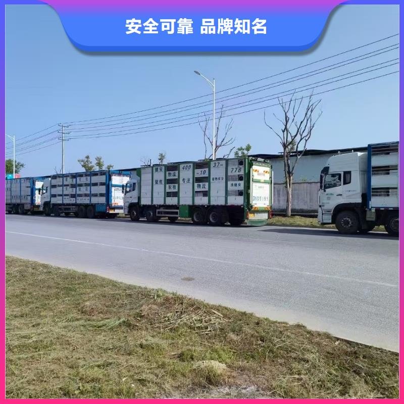 鶴壁到遵義活禽運輸保障完備