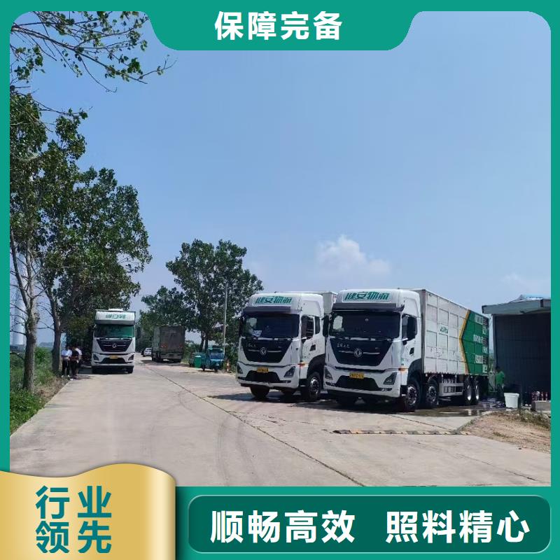 聊城到周口豬牛羊運(yùn)輸及時(shí)送達(dá)
