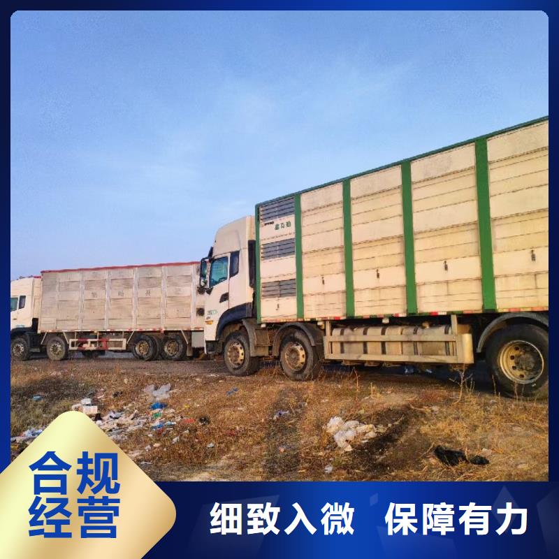 濱州到昆明羊運輸專用車資金充裕