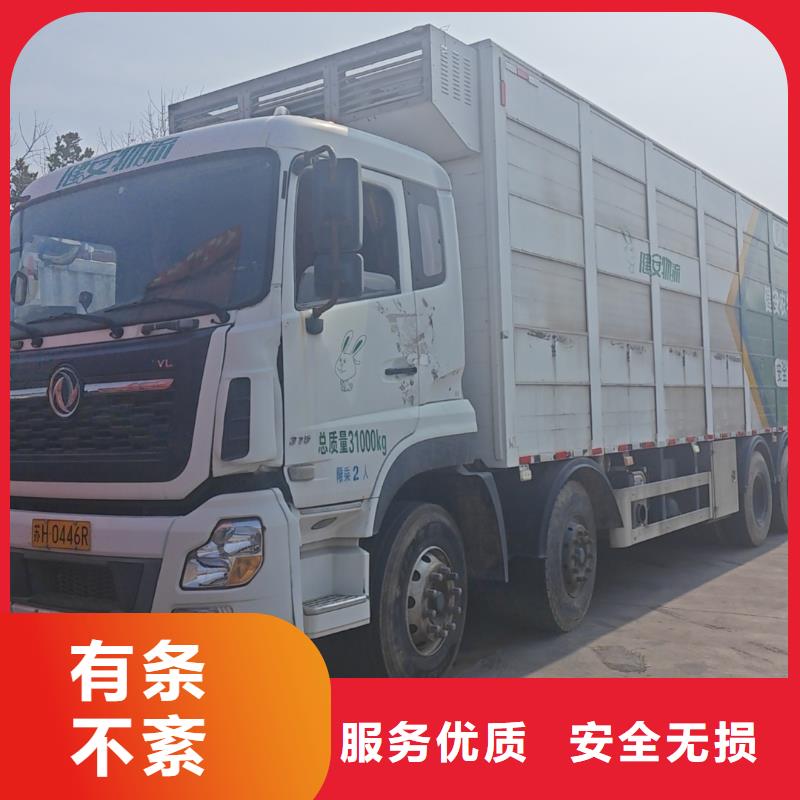 平頂山到丹東豬籠車物流溫柔對(duì)待