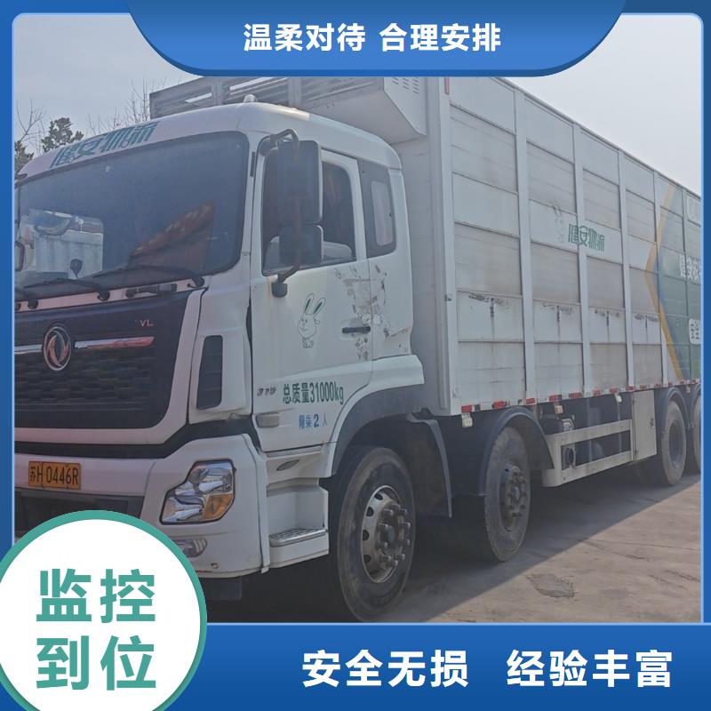 蕪湖到漢中畜禽運(yùn)輸精心照料
