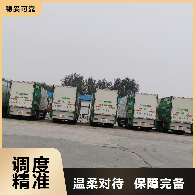 濱州到貴陽生豬恒溫車運輸及時送達