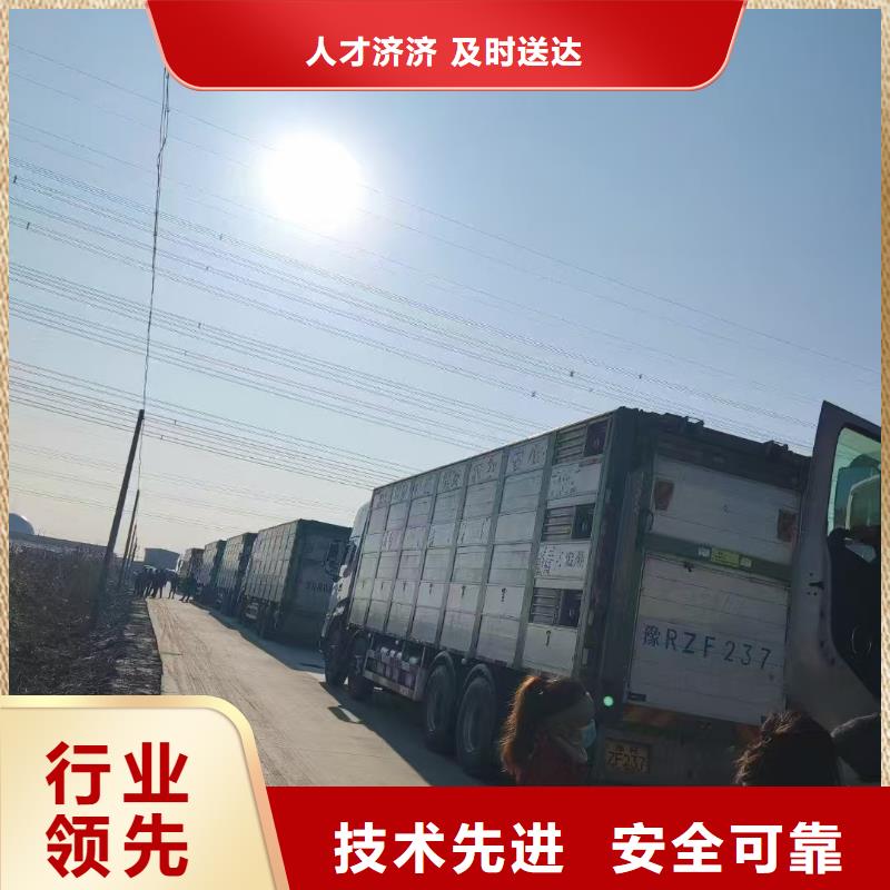 聊城到廊坊生豬恒溫車運輸防護(hù)周全