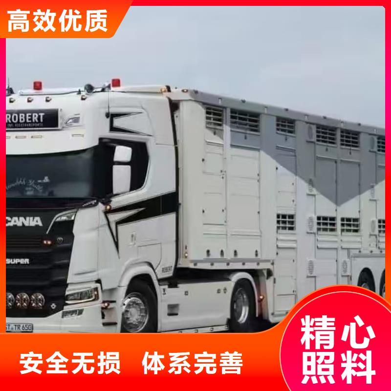 宿遷到如皋高欄車肥豬運(yùn)輸老牌物流公司
