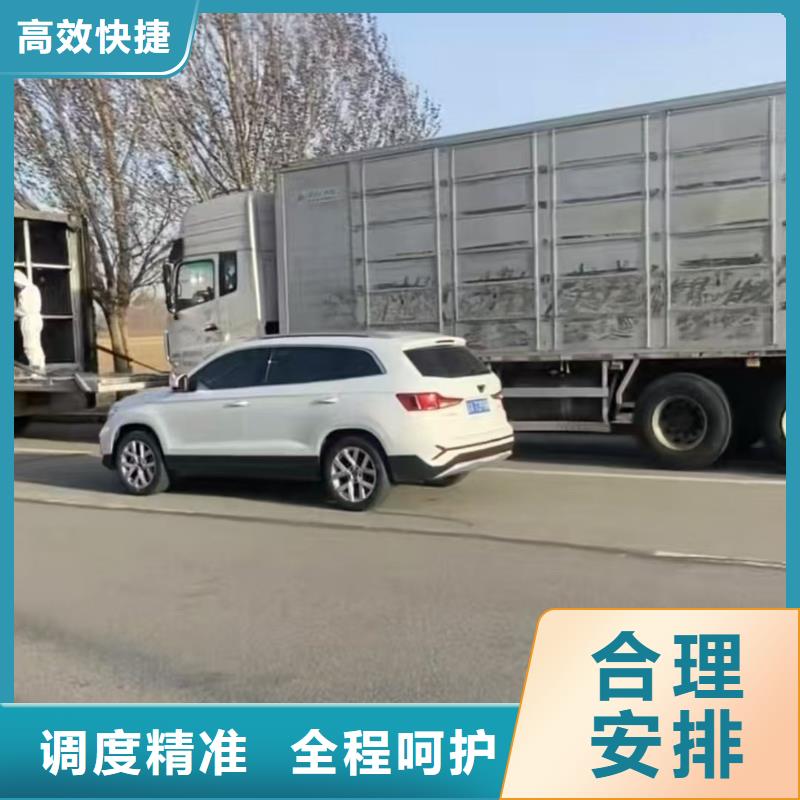 德州到六安散裝料專用車人才濟(jì)濟(jì)