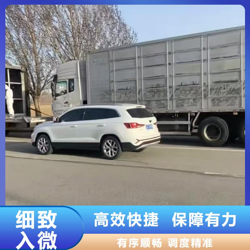 泰安到黔西南仔豬空調(diào)車運輸人才濟濟