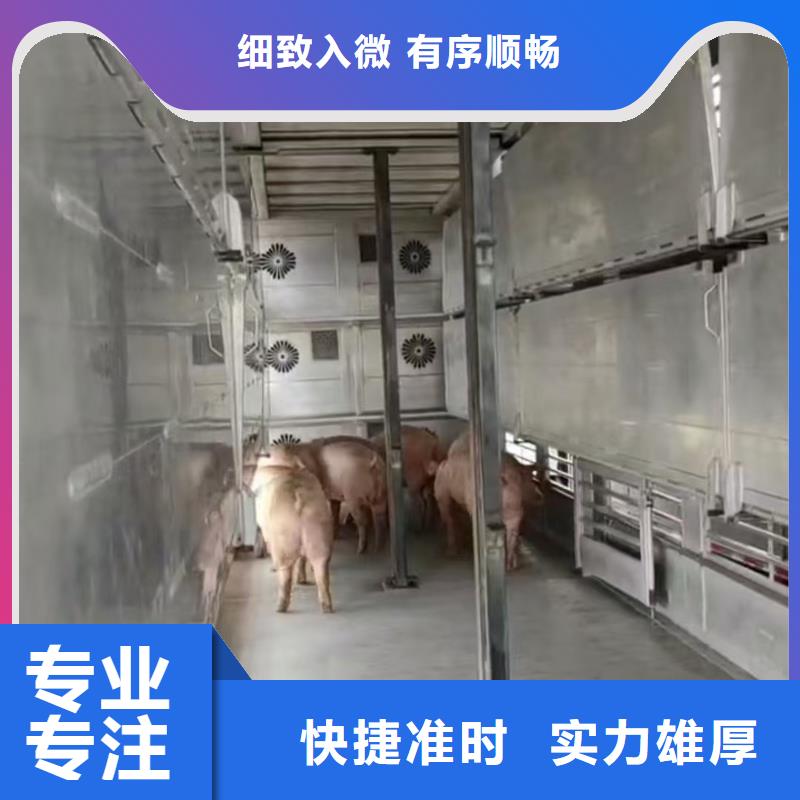 商丘到滁州農(nóng)牧物流行業(yè)領先