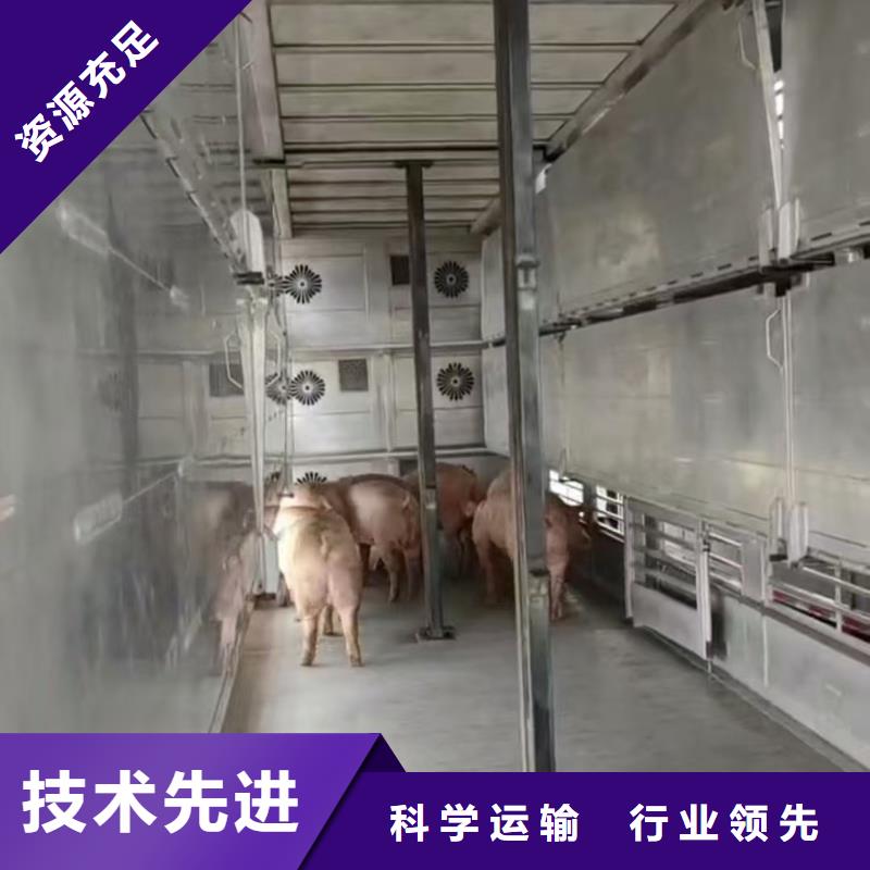 宿遷市沭陽到駐馬店牛運(yùn)輸專用車體系完善