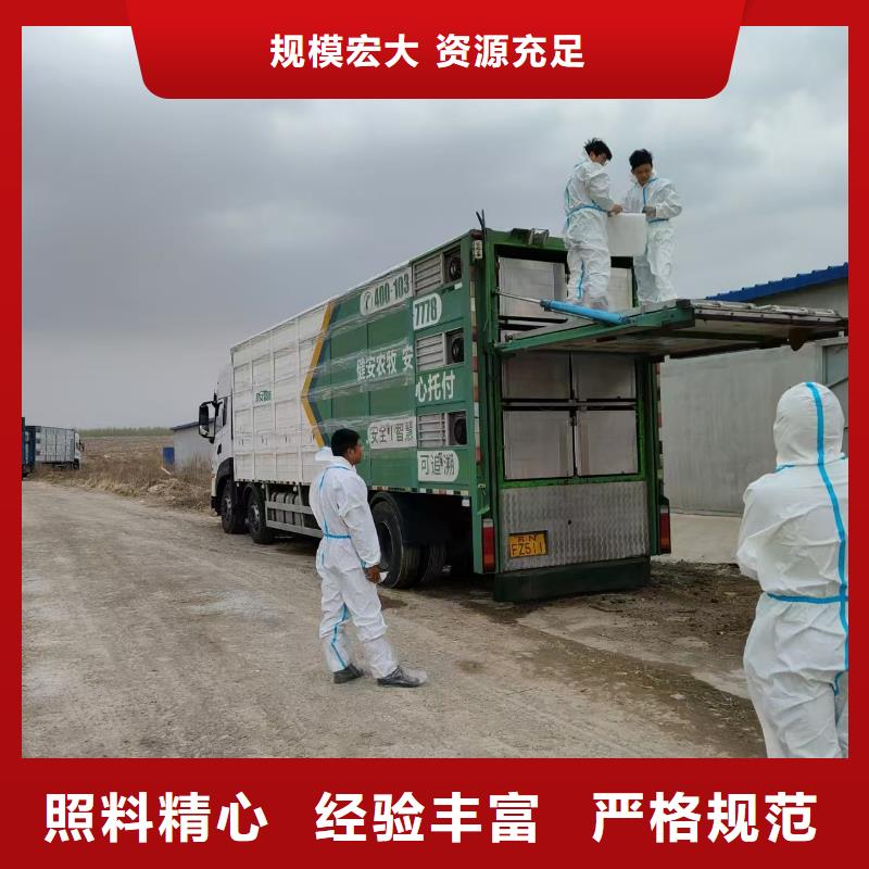 臨沂到曲靖牛運輸專用車規(guī)模宏大