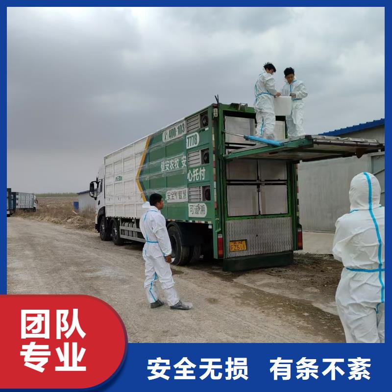 宿遷市泗洪到嘉興原料運(yùn)輸調(diào)度精準(zhǔn)