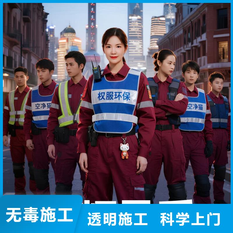 金川空凈貓上門除甲醛除苯全國品牌直營上海寶山區(qū)羅涇鎮(zhèn) 上門除甲醛 空凈貓全國直營資質過硬