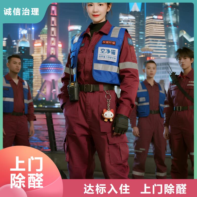 湘西上門除甲醛檢測(cè)治理找空凈貓全國直營品牌-徐州大學(xué)生創(chuàng)業(yè)園周邊住區(qū) 上門除甲醛公司 空凈貓全國直營透明公開