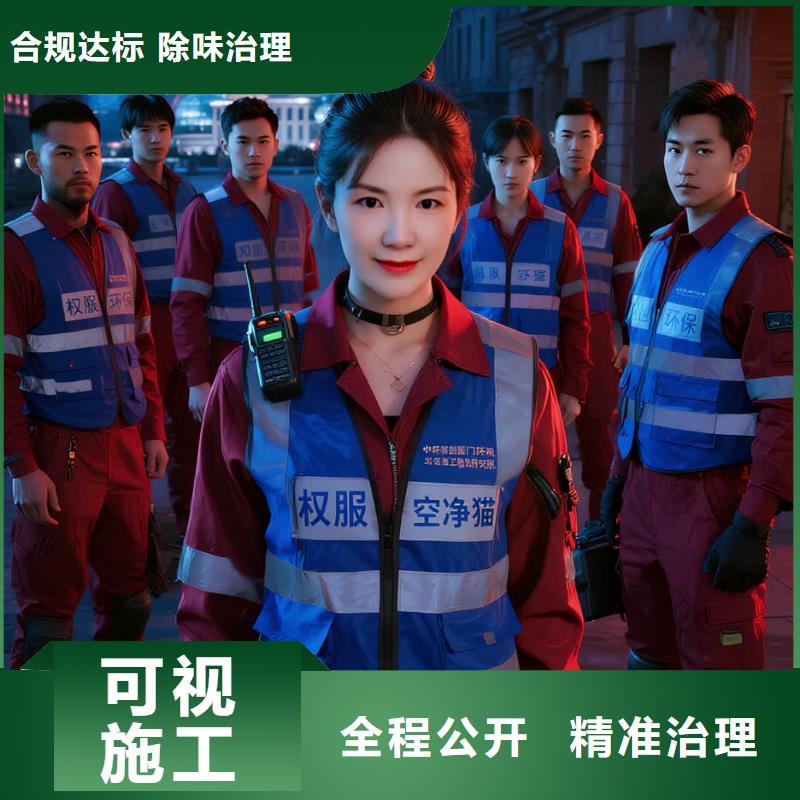 潢川全國直營上門除甲醛檢測(cè)治理品牌空凈貓除甲醛_衢州市江山市鳳林鎮(zhèn) 上門除甲醛檢測(cè)治理公司 空凈貓全國直營誠信除醛