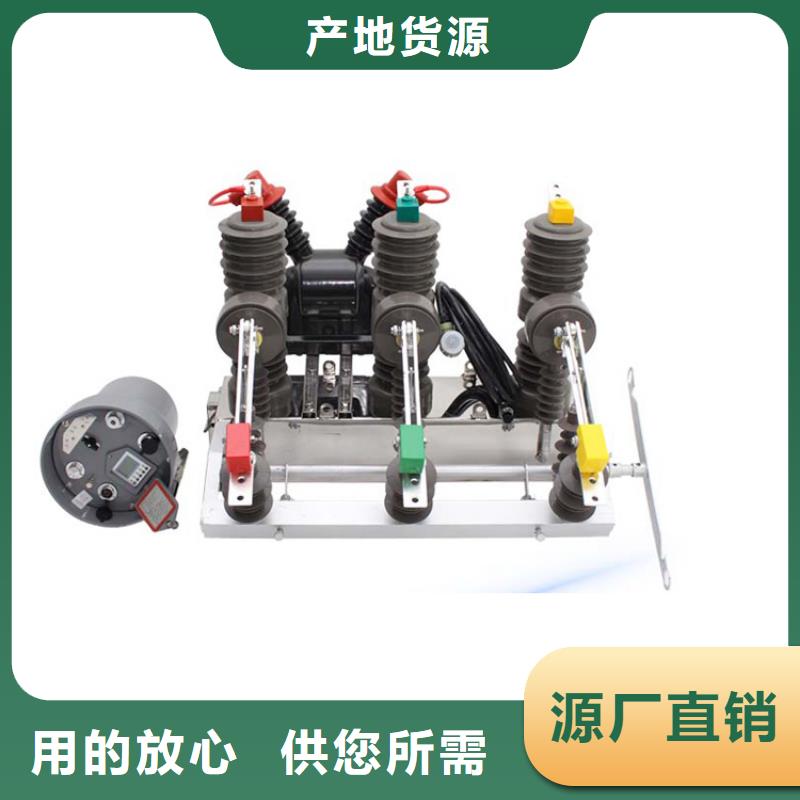 婁底ZW8-12F/T630-20真空斷路器13587716025